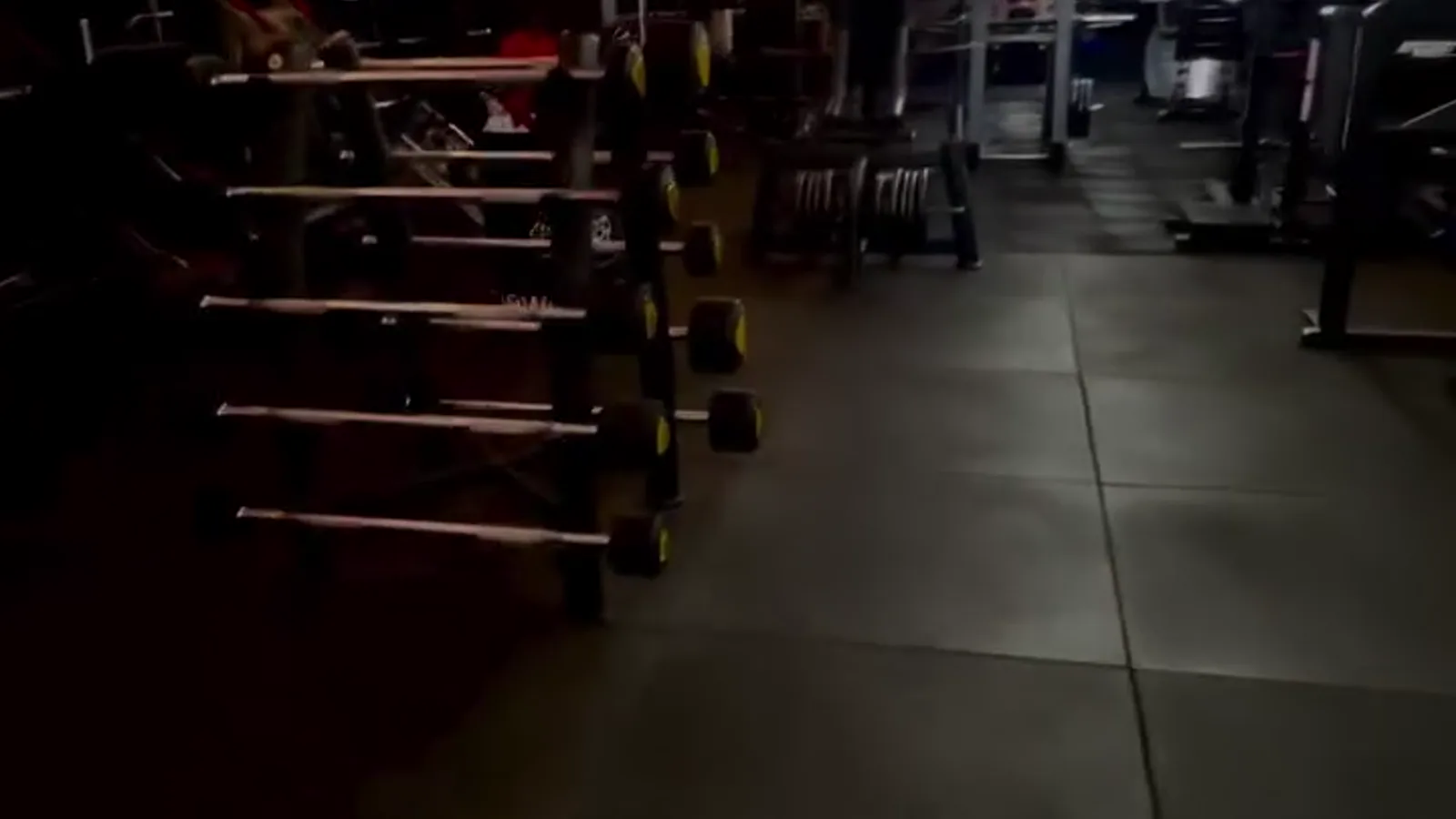 Área de musculação da New Concept Academia